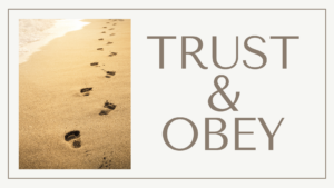 Trust & Obey Series